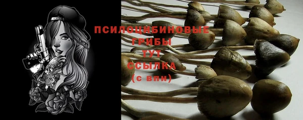 гашик Краснотурьинск
