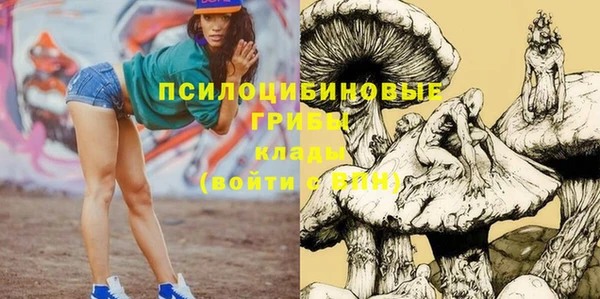 крисы Красноперекопск