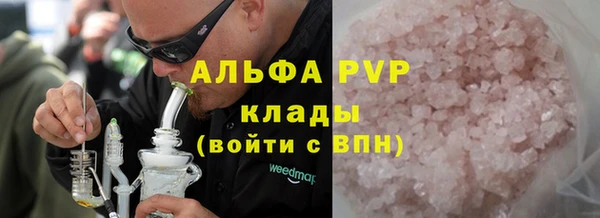 ПСИЛОЦИБИНОВЫЕ ГРИБЫ Козловка