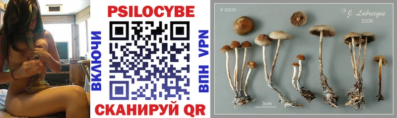 Псилоцибиновые грибы Cubensis это клад Курчатов