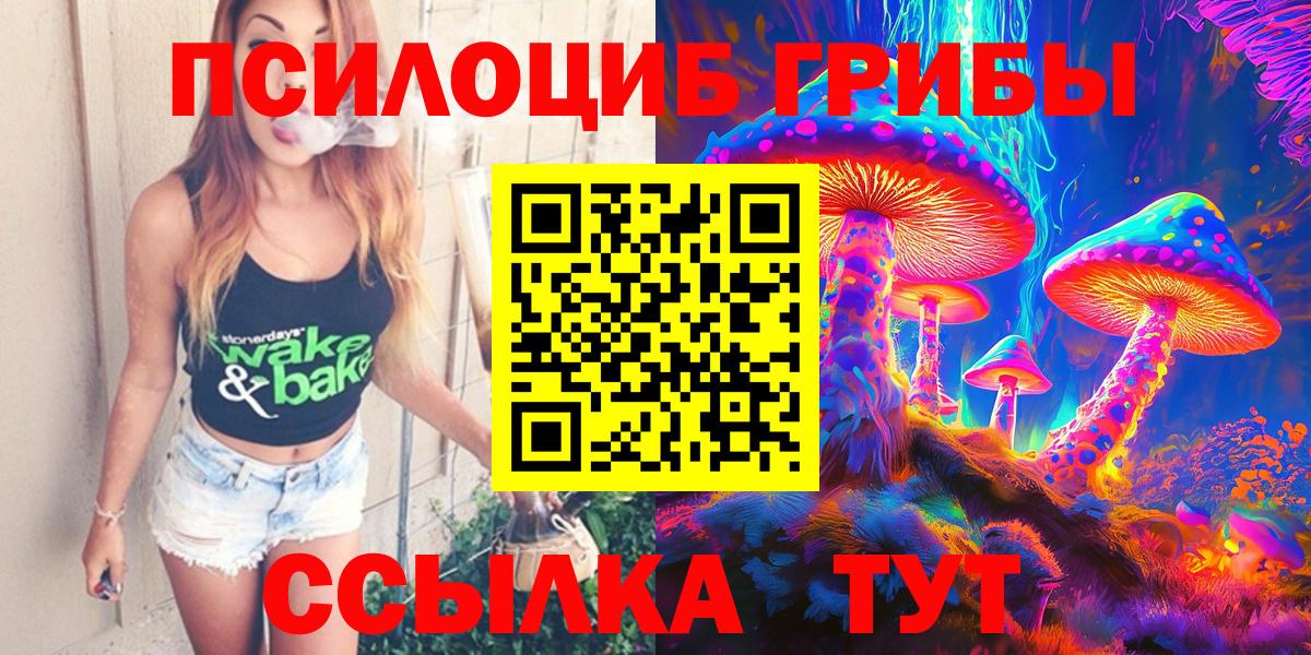 Псилоцибиновые грибы мицелий Курчатов