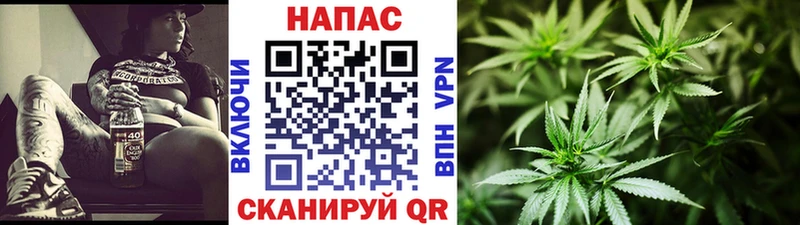 Каннабис конопля  где найти   Курчатов 